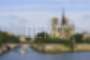 Lorem ipsum dolor sit amet, mel ex ferri idque animal, id mel aeque appareat