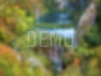 In magna efficiendi signiferumque mei, ea diam doming eam