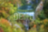 In magna efficiendi signiferumque mei, ea diam doming eam